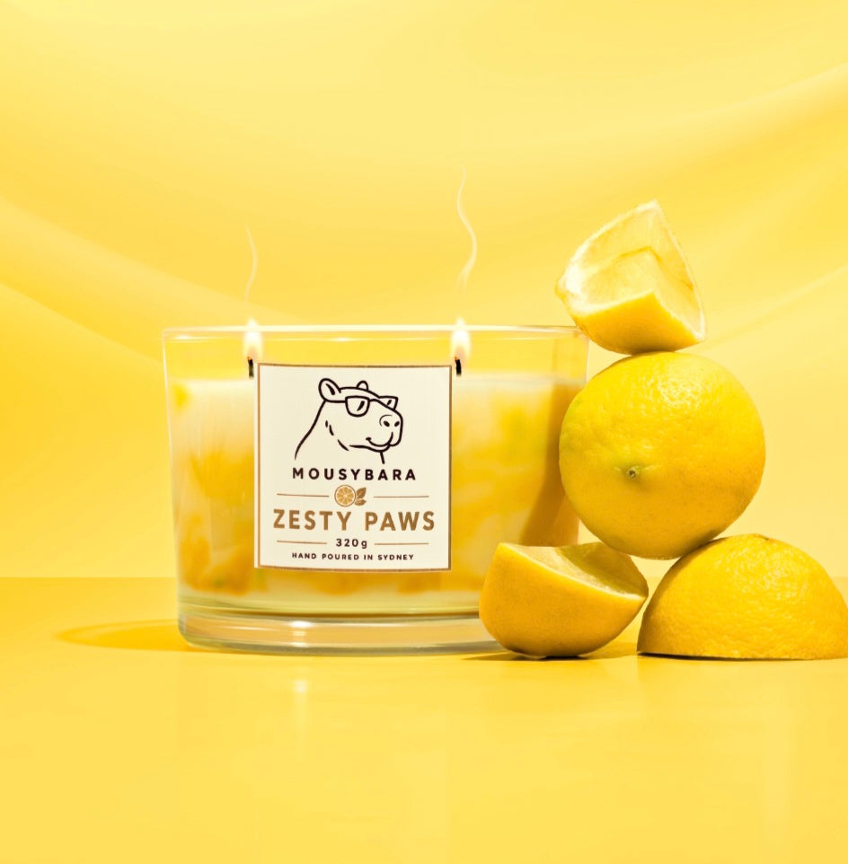Zesty Paws Swirl