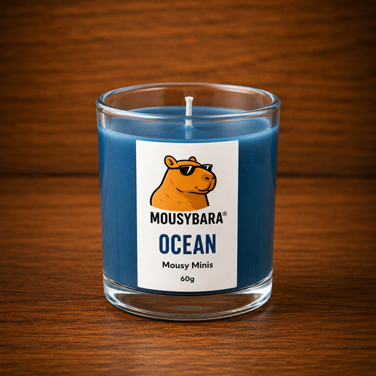 Ocean